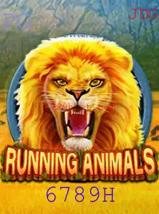 Explorando o Fascinante Mundo de RunningAnimals: Um Guia Completo